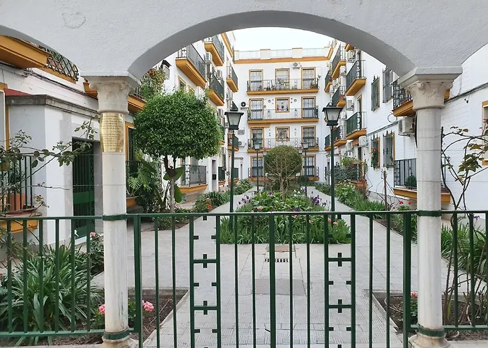 Nool * Siviglia