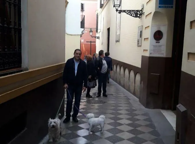 Nool Appartamento Siviglia