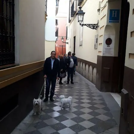 Nool Apartmán Sevilla